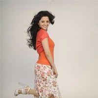 Vedika Latest Photo Shoot Pictures | Picture 84360